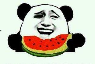 好想给你吃瓜,好想给你吃瓜的浪漫故事