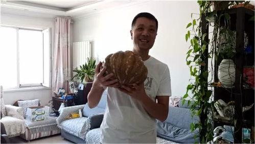 九哥吃大瓜,揭秘娱乐圈最新大瓜