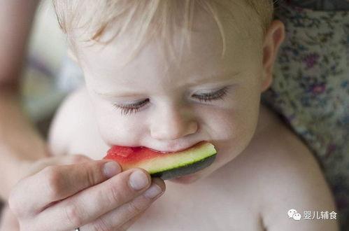 狐狸宝宝吃瓜,狐狸宝宝欢乐吃瓜记