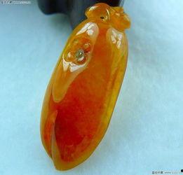 红瓜胶怎么吃,红瓜胶的多样食用方法与营养益处