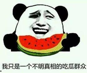 吃瓜大小事,吃瓜群众视角下的娱乐圈风云录