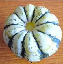 小瓜可以蒸了吃,蒸煮美味，尽享健康