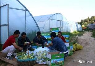 服务区群众吃瓜,服务区里的夏日美食盛宴