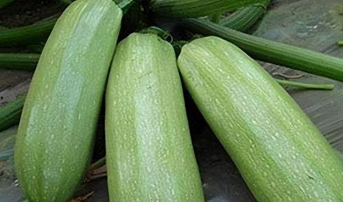 二美吃的瓜,揭秘娱乐圈的甜蜜瓜田