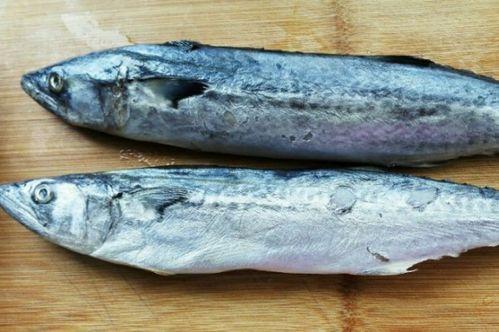 吃鲅鱼可以吃角瓜吗,营养互补的美食探索