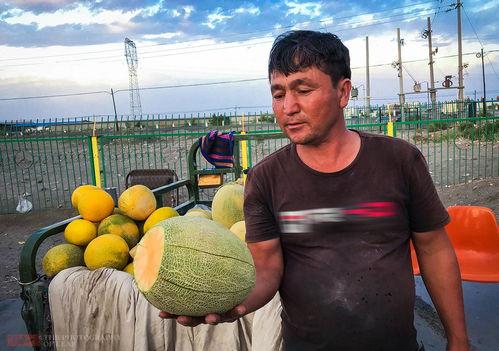 涿州吃瓜哥,揭秘网络红人的崛起之路